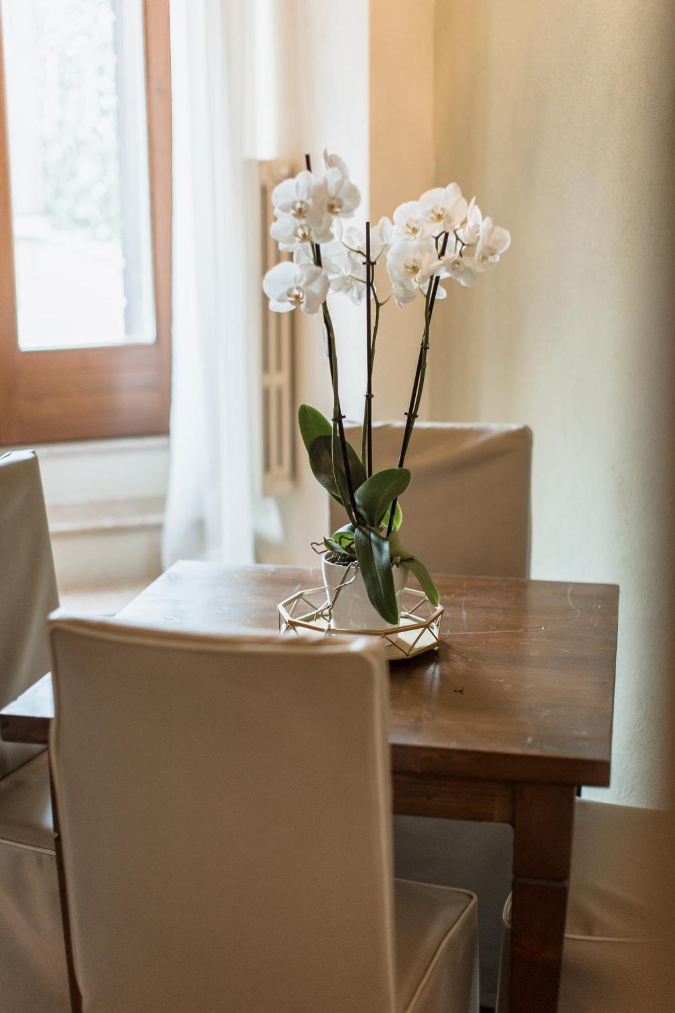 Osteria Luxury Apartments بسكييرا ديل غاردا المظهر الخارجي الصورة